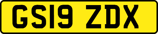 GS19ZDX