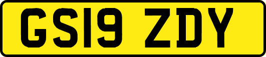 GS19ZDY