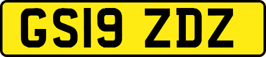 GS19ZDZ