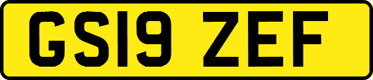 GS19ZEF