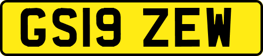 GS19ZEW