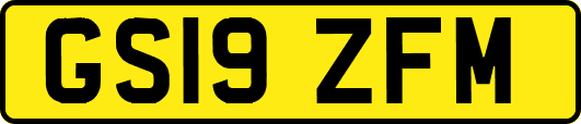 GS19ZFM
