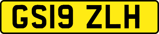 GS19ZLH