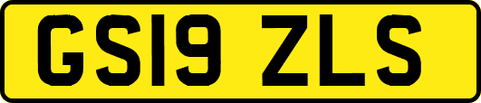 GS19ZLS