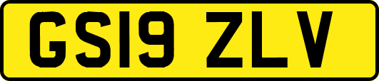 GS19ZLV