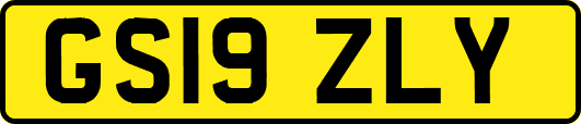 GS19ZLY
