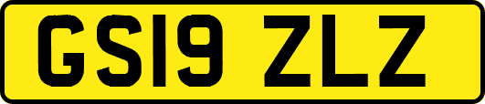 GS19ZLZ
