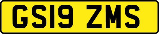 GS19ZMS