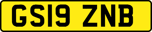 GS19ZNB