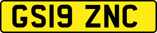 GS19ZNC