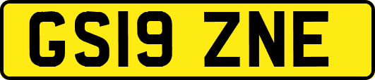 GS19ZNE