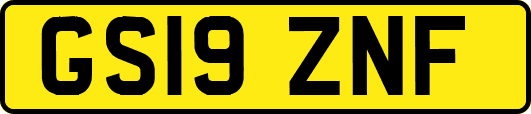 GS19ZNF