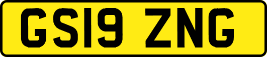 GS19ZNG