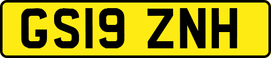 GS19ZNH