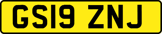 GS19ZNJ
