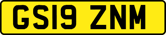 GS19ZNM