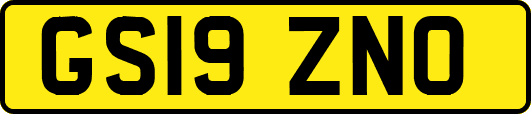 GS19ZNO