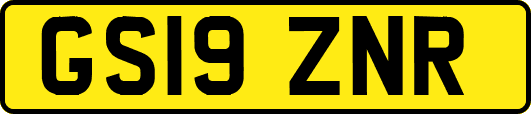 GS19ZNR