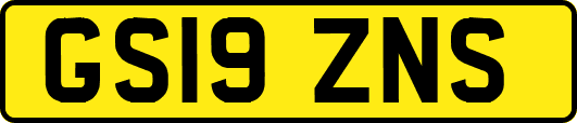 GS19ZNS