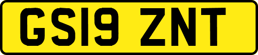 GS19ZNT