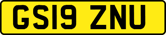 GS19ZNU