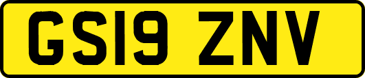 GS19ZNV