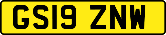 GS19ZNW