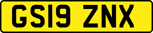 GS19ZNX