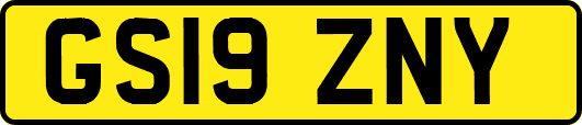 GS19ZNY