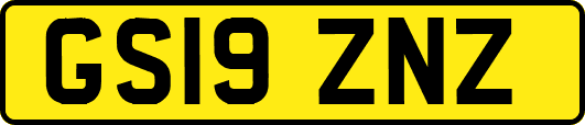 GS19ZNZ
