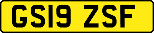 GS19ZSF