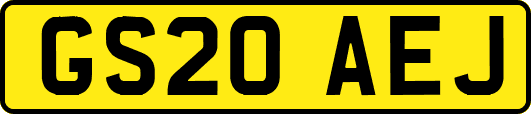 GS20AEJ