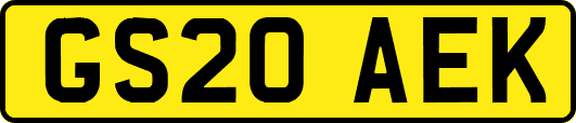 GS20AEK