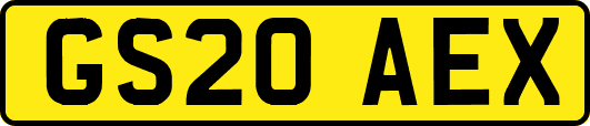 GS20AEX