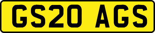 GS20AGS