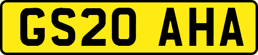 GS20AHA