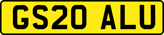 GS20ALU
