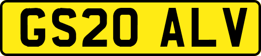 GS20ALV