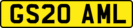 GS20AML