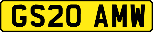 GS20AMW
