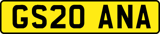 GS20ANA