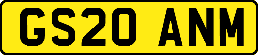 GS20ANM
