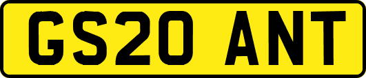 GS20ANT