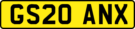 GS20ANX