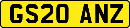 GS20ANZ