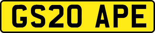 GS20APE