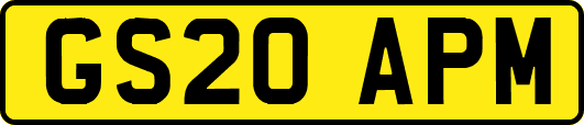GS20APM