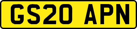 GS20APN