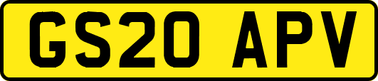 GS20APV
