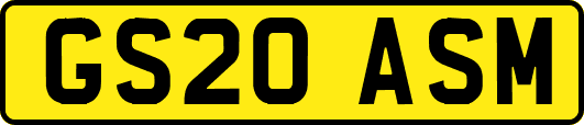 GS20ASM
